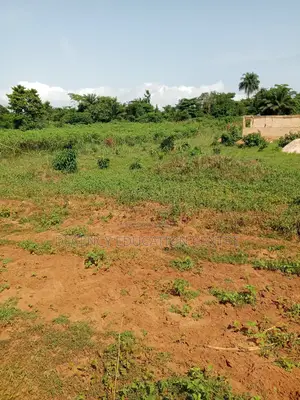 Plot of Land