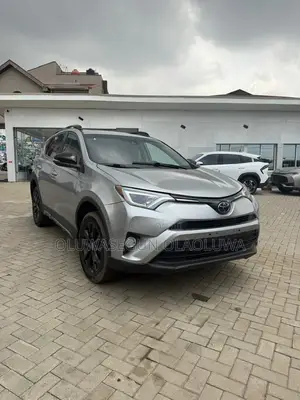 Toyota RAV4 XLE 4dr SUV (2.5L 4cyl 6A) 2018 Silver