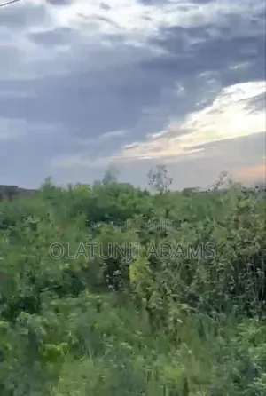3000acres of Farmland at Ikire Town