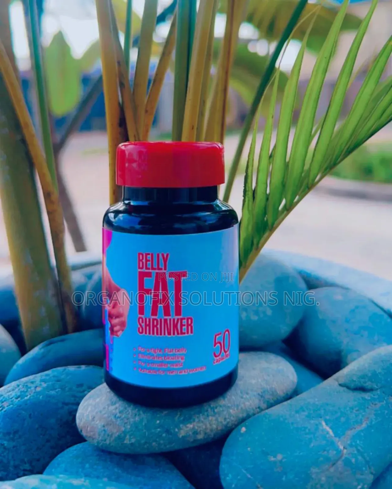 Belly Fat Shrinker