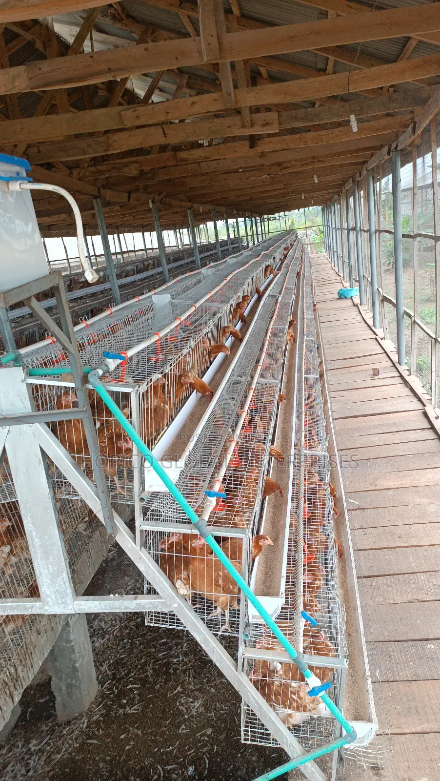Refurbish Poultry Cage