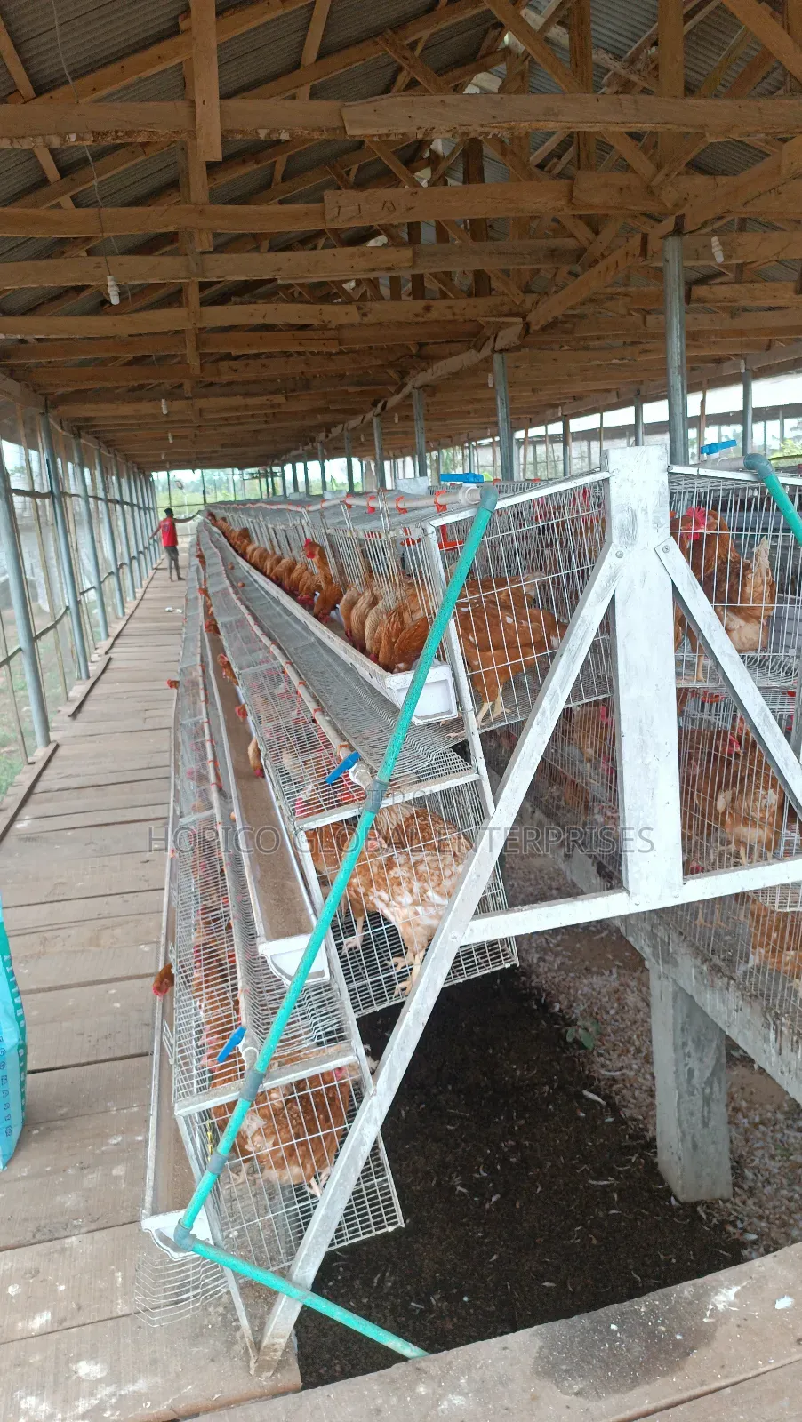 Refurbish Poultry Cage