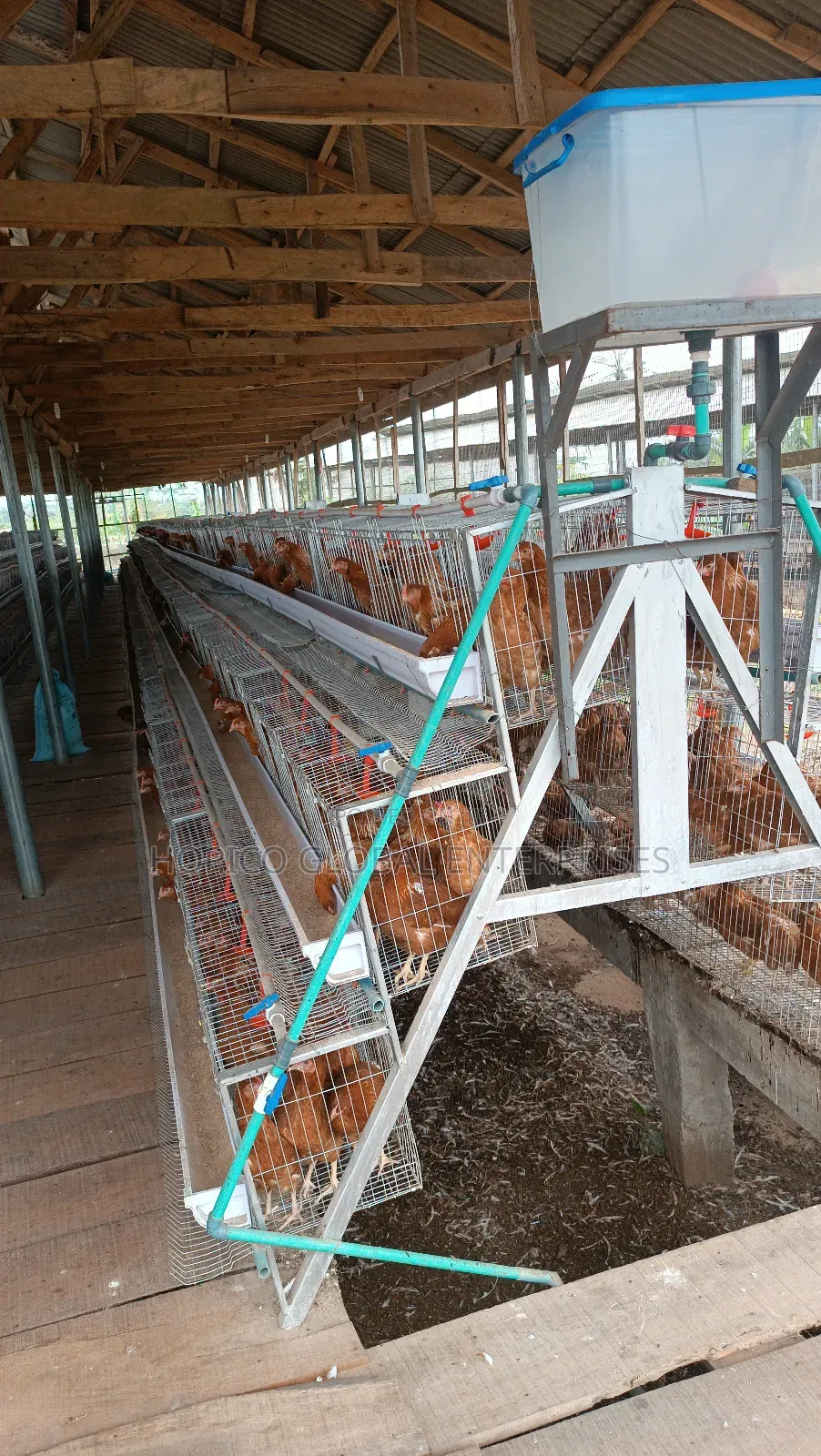 Refurbish Poultry Cage