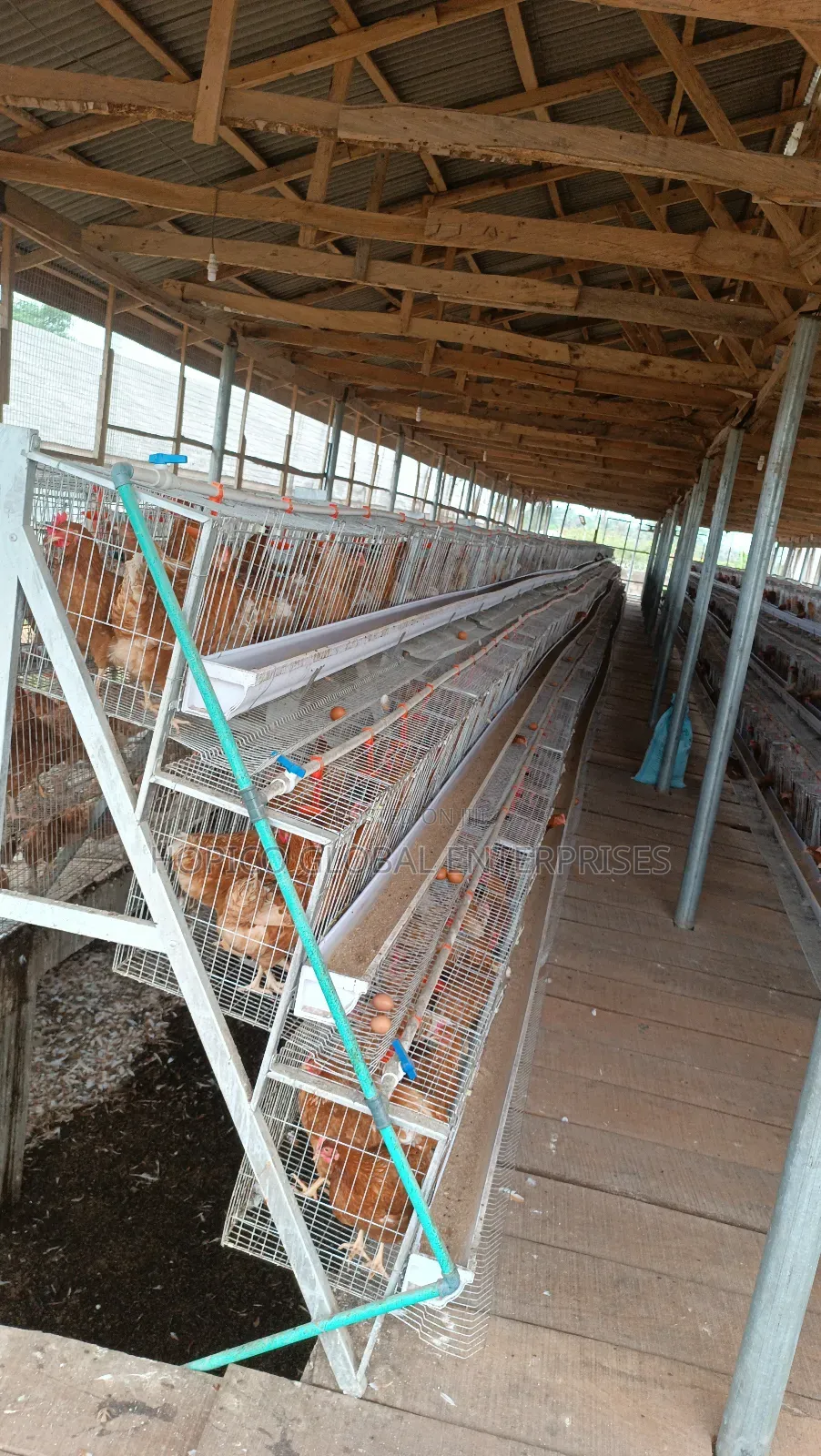 Refurbish Poultry Cage
