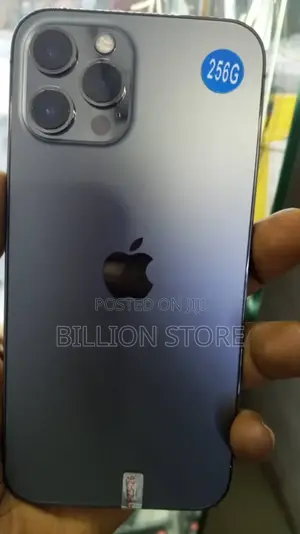 Apple iPhone 12 Pro Max 256 GB Blue