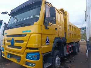 10 Tyres Howo Truck