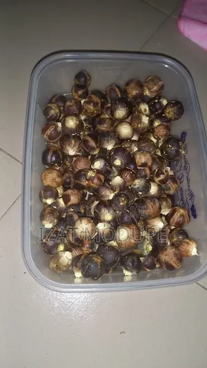 Gorontula Fruit