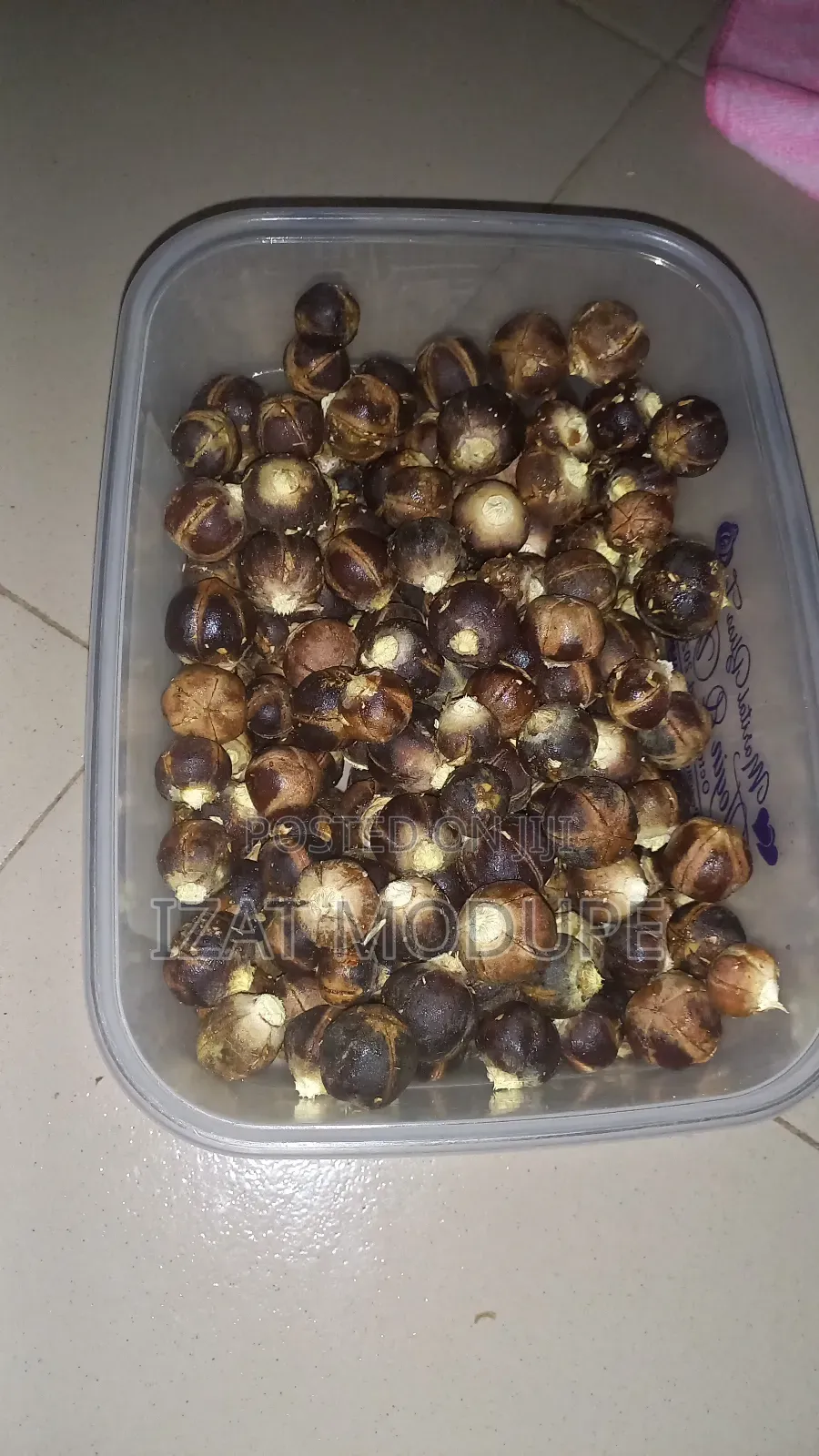 Gorontula Fruit