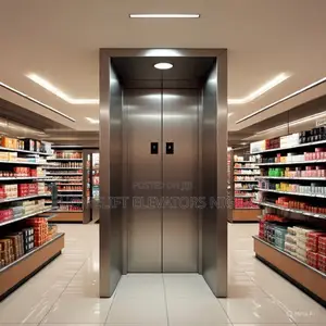 Safe and Smooth Experience for Passenger Elevators