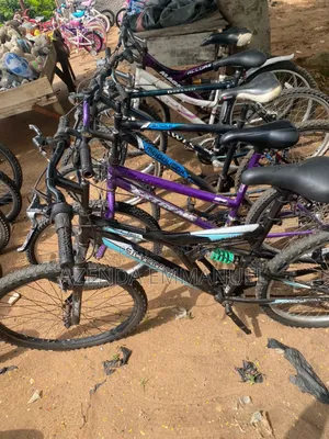 Photo - Bicycle Hub