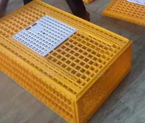Transfer Cage