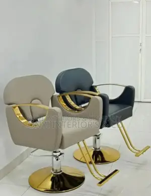 Beauty Salon Chair