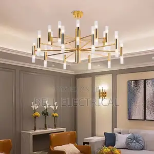 Modern Fashion Designer Black Gold Led Ceiling