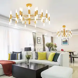Modern Fashion Designer Black Gold Led Ceiling