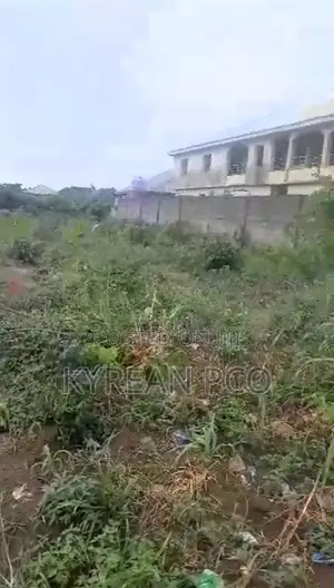 Plot in a Serene Environment