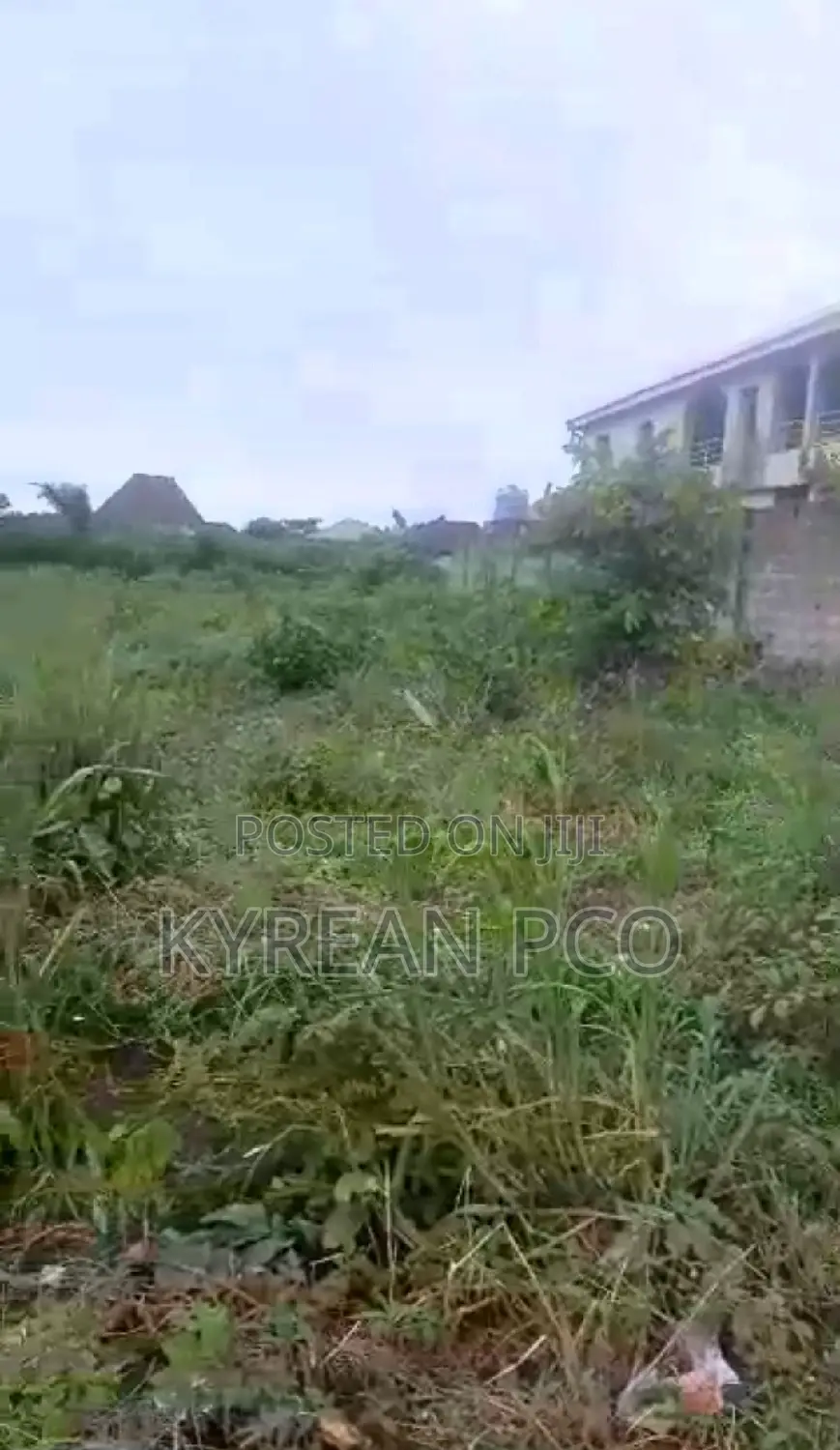 Plot in a Serene Environment