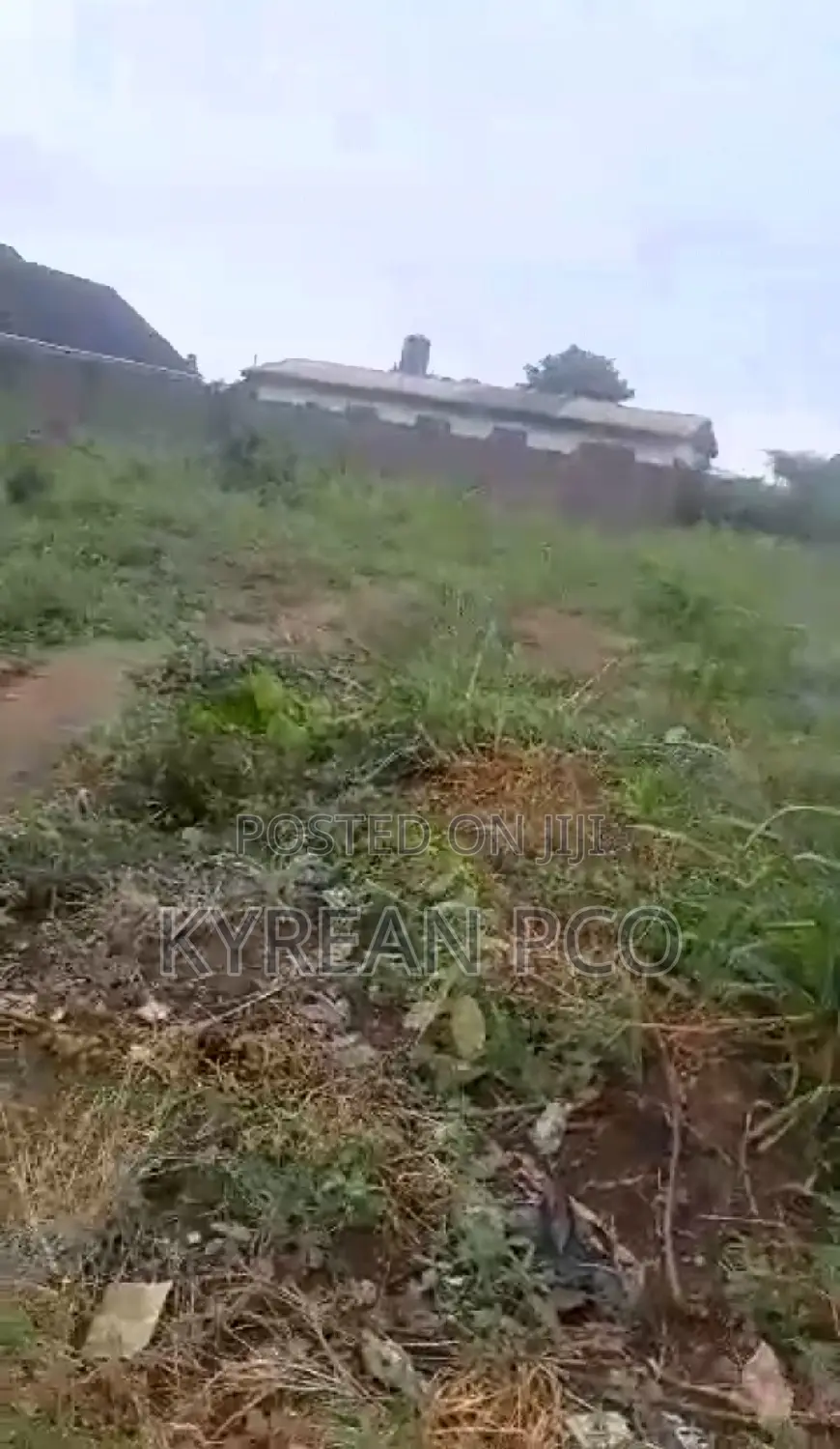 Plot in a Serene Environment