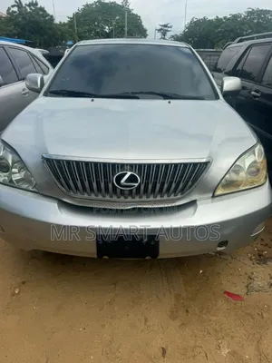 Lexus RX 330 2006 Silver