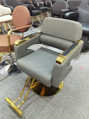 Salon Chair