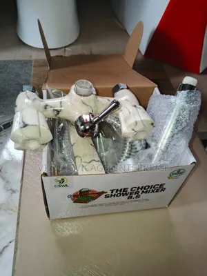 Choice Mixer Shower