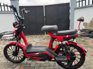 Photo - Electric Bike