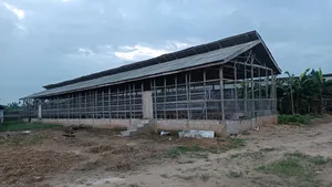 Commercial Cage Supplier 