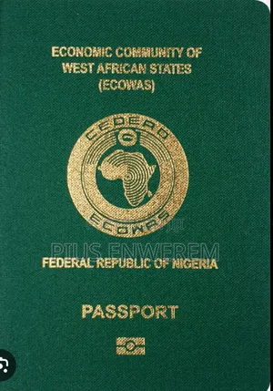 Nigeria International Passport (New & Renewal)