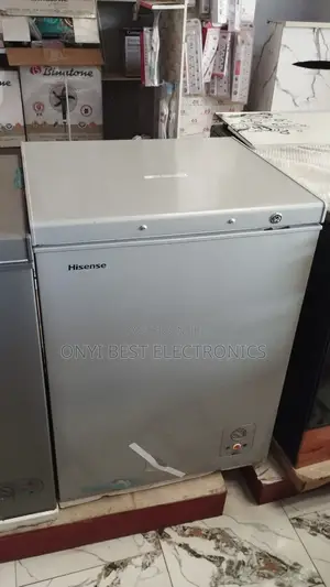 Hisense 142 Liters FRZ Fc 180sh Chest Freezer - Silver