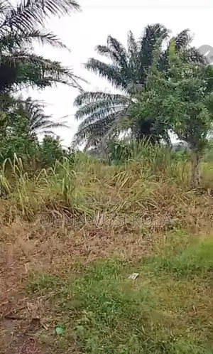 6 Plots for Sale