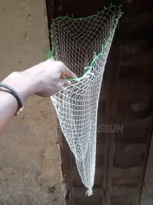 Basketball Net