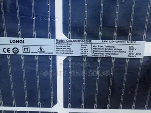 This Is Longi 450 Watts Bifacial