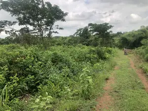 Photo - Good Land for Farming in Ogun State.Nigeria