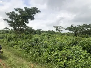 Good Land for Farming in Ogun State.Nigeria
