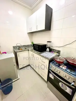 Luxurious and Spacious Studio Apartments