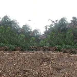 2 Plots of Land in Prime Location