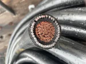 1corex400mm Armored Cable