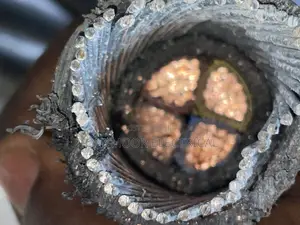 50mmx4core Armored Cable