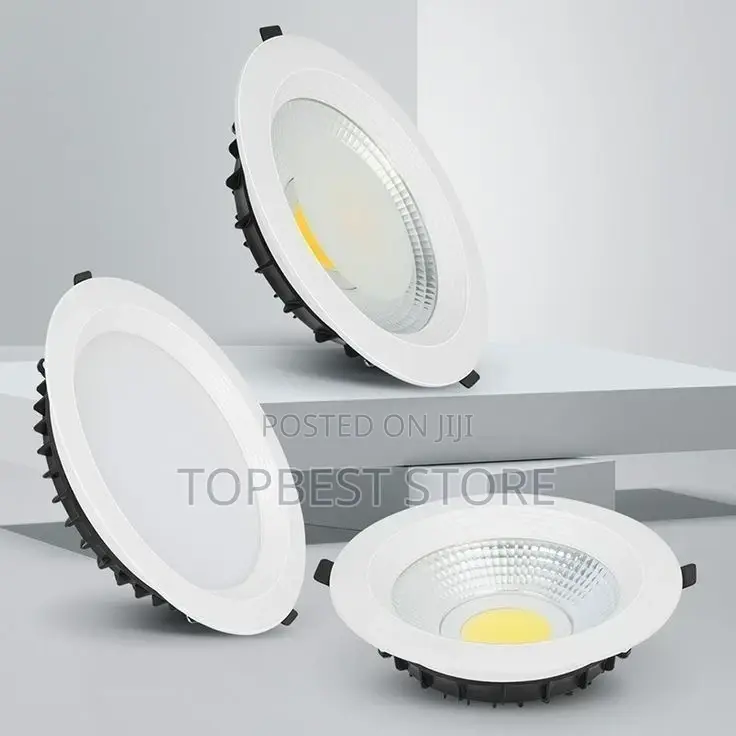 Modern Cob Down Light
