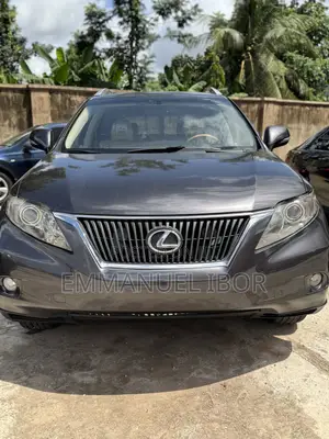 Photo - Lexus RX 350 2010 Gray