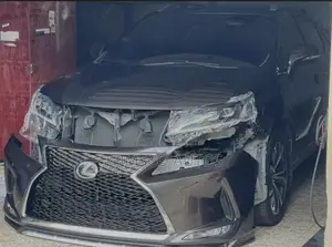 Complete Bumper Rx 350 2020