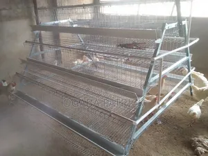 Poultry Battery Cage Foreign Used