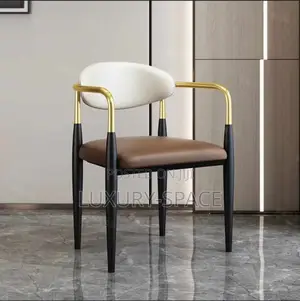 Popular Design Restaurant Chair