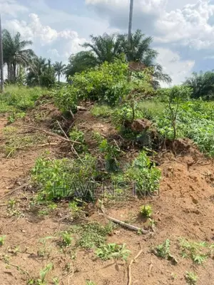 For Sale – Prime Residential Plots