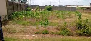 A Plot of Land