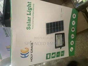 Classic Solar Flood Light