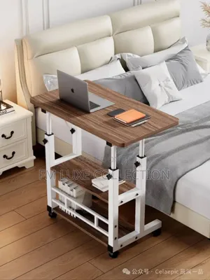 Double Layers Adjustable Desk