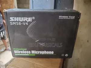 Shure Microphone