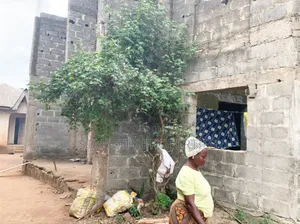 Photo - 4bdrm House in Agabra Ogun State, Agbara-Igbesan for sale