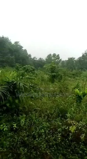 Photo - 6.4 Hectares of Land in Abeokuta Road, Oyo State
