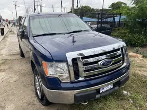 Ford F-150 FX4 2011 Blue